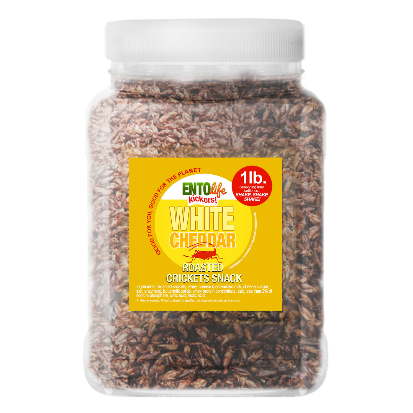 Bulk Crickets by the Pound White Cheddar Flavored Cricket Snack